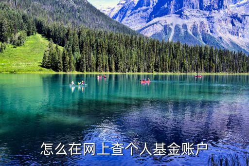 怎么在網(wǎng)上查個(gè)人基金賬戶(hù)