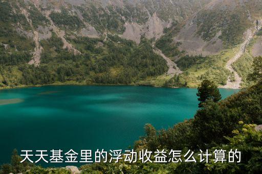 基金浮動收益怎么算，網(wǎng)上基金的浮動盈虧是怎么算的