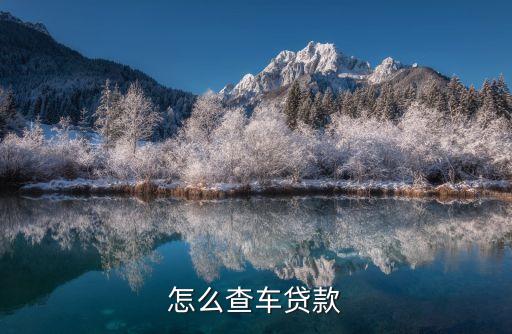怎么查汽車貸款記錄，怎么查車貸款