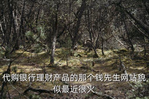 代購(gòu)銀行理財(cái)產(chǎn)品的那個(gè)錢(qián)先生網(wǎng)站貌似最近很火