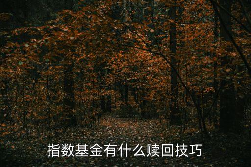 指數(shù)基金有什么贖回技巧