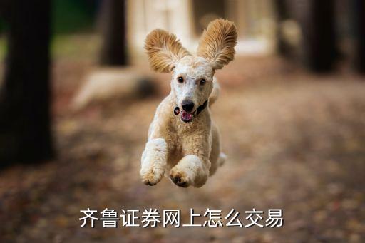 齊魯證券開戶后怎么交易，齊魯證券網(wǎng)上怎么交易