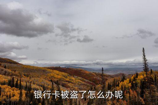 銀行卡被盜了怎么辦呢
