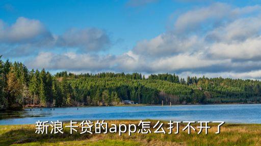 新浪卡貸的app怎么打不開了