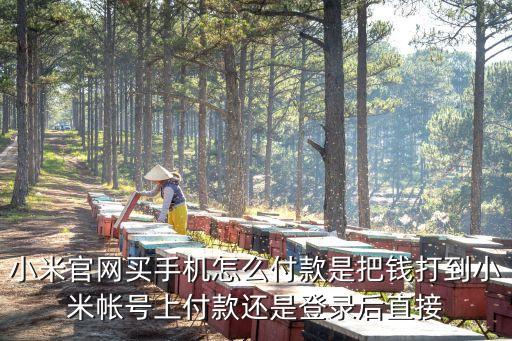 小米官網(wǎng)買手機(jī)怎么付款是把錢打到小米帳號(hào)上付款還是登錄后直接