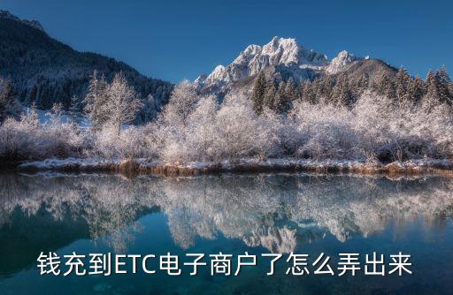 錢充到ETC電子商戶了怎么弄出來