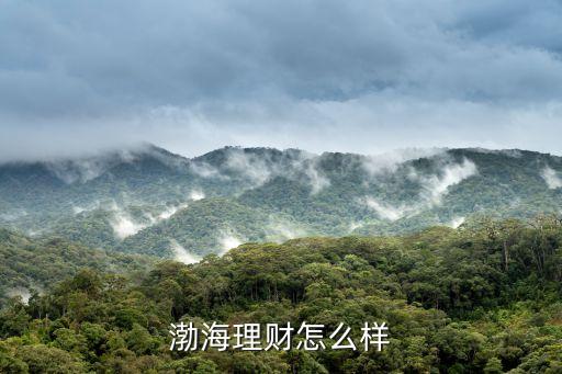 渤海銀行理財(cái)添金幣怎么樣，現(xiàn)在這么多理財(cái)寶寶選哪個(gè)比較好呢新出的渤海銀行的添金寶好