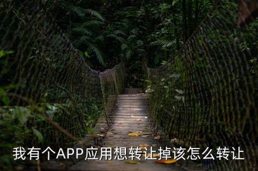 易通貸怎么轉(zhuǎn)讓，我有個(gè)APP應(yīng)用想轉(zhuǎn)讓掉該怎么轉(zhuǎn)讓