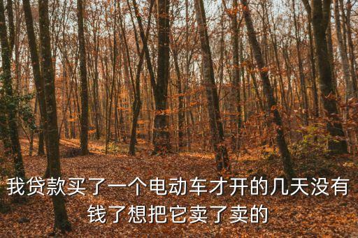 我貸款買了一個電動車才開的幾天沒有錢了想把它賣了賣的