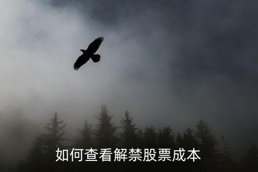 如何查看解禁股票成本