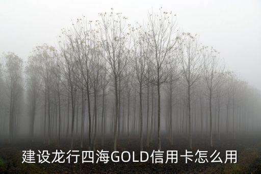 建設(shè)龍行四海GOLD信用卡怎么用