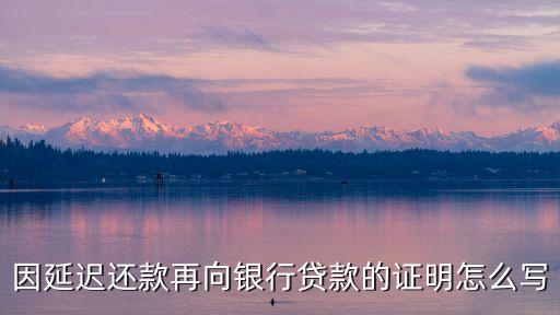 因延遲還款再向銀行貸款的證明怎么寫