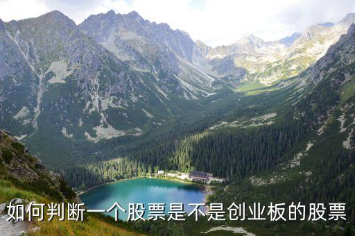如何判斷一個股票是不是創(chuàng)業(yè)板的股票