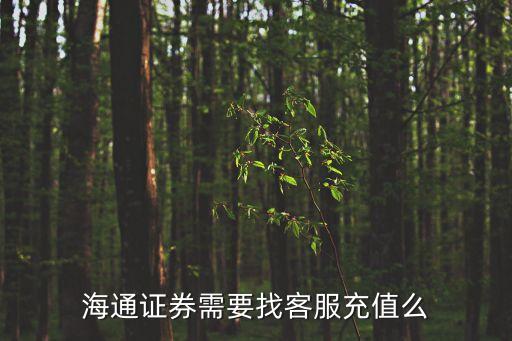 海通證券需要找客服充值么