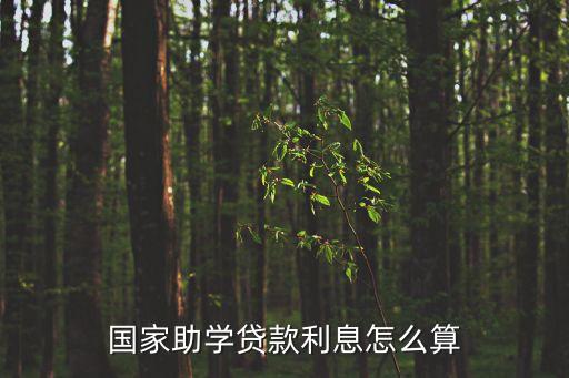 助學(xué)貸款的利息怎么算，國(guó)家助學(xué)貸款利息怎么算