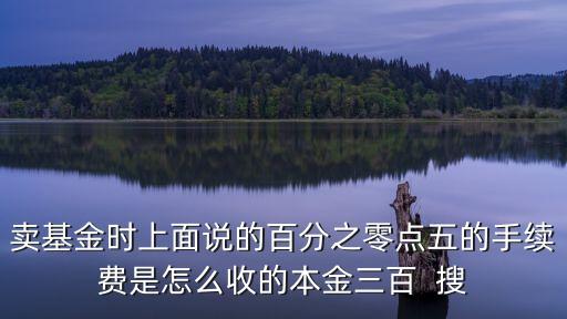 賣基金時(shí)上面說的百分之零點(diǎn)五的手續(xù)費(fèi)是怎么收的本金三百  搜