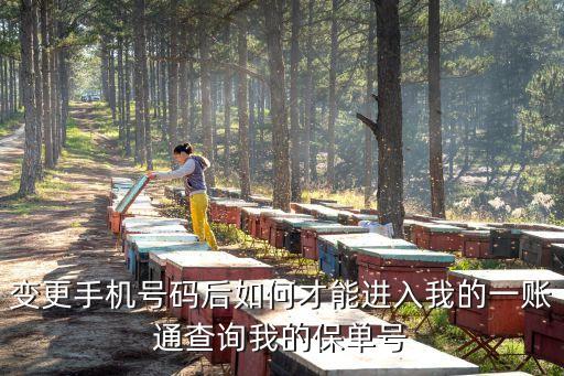 怎么用手機看一賬通寶，一賬通怎么查保單