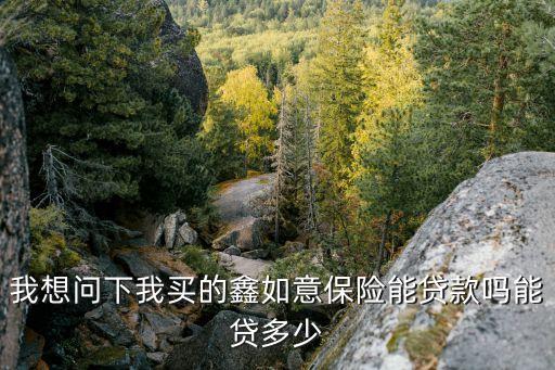 我想問下我買的鑫如意保險能貸款嗎能貸多少