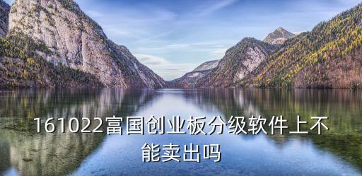 161022富國(guó)創(chuàng)業(yè)板分級(jí)軟件上不能賣出嗎