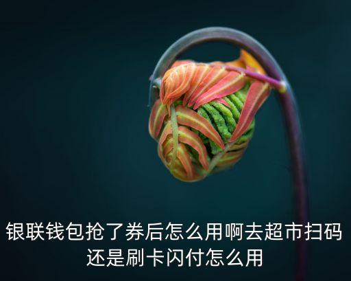 銀聯(lián)錢包搶了券后怎么用啊去超市掃碼還是刷卡閃付怎么用