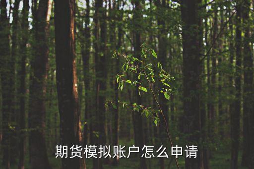 期貨模擬賬戶怎么申請(qǐng)
