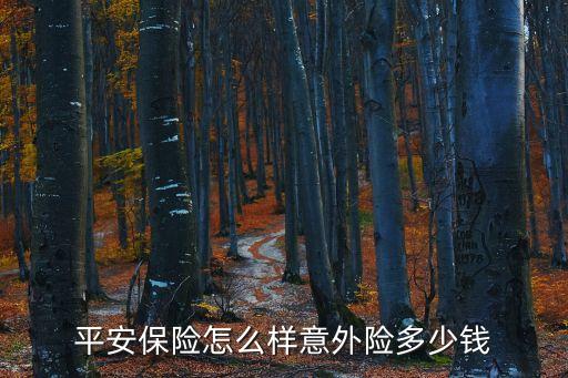 平安保險(xiǎn)怎么樣意外險(xiǎn)多少錢(qián)