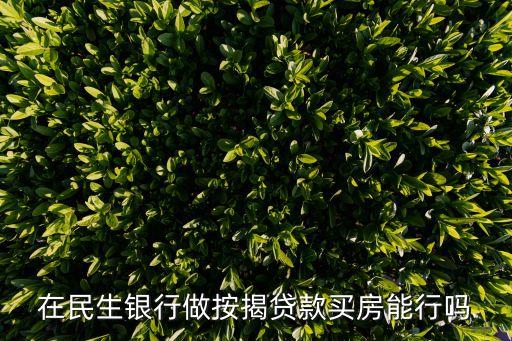 在民生銀行做按揭貸款買(mǎi)房能行嗎