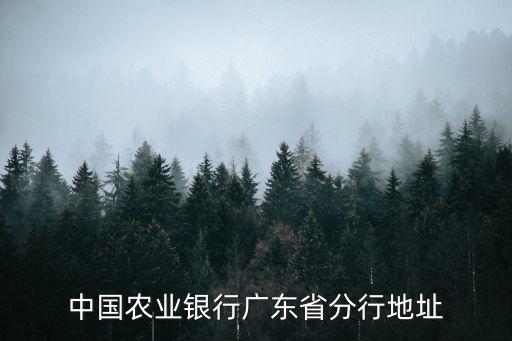 廣東省農(nóng)業(yè)銀行怎么走，中國農(nóng)業(yè)銀行廣東省分行地址