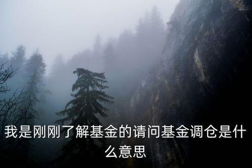 基金怎么調(diào)倉，什么叫基金的調(diào)倉怎么調(diào)倉