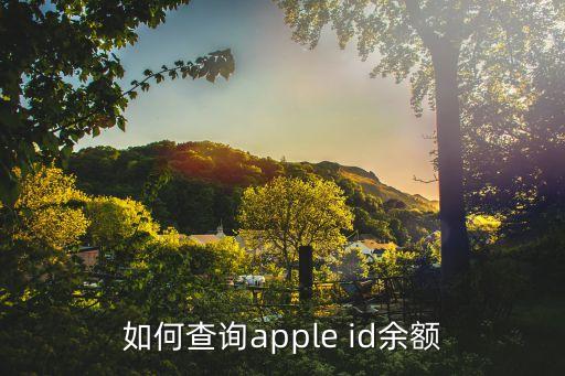 蘋果92怎么看賬戶余額，怎么查Apple ID里還有多少錢