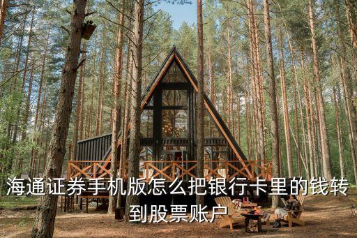 海通證券手機(jī)版怎么把銀行卡里的錢轉(zhuǎn)到股票賬戶