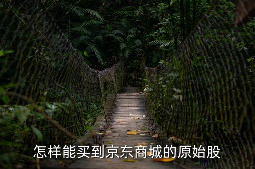 怎樣能買到京東商城的原始股