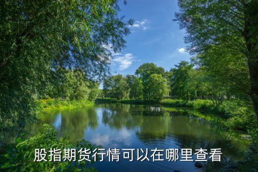 怎么查看股指期貨，股指期貨行情可以在哪里查看