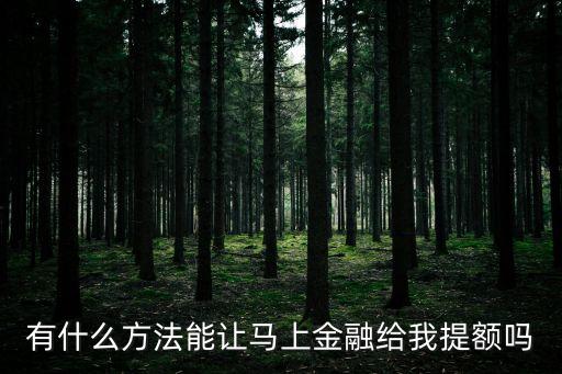 有什么方法能讓馬上金融給我提額嗎