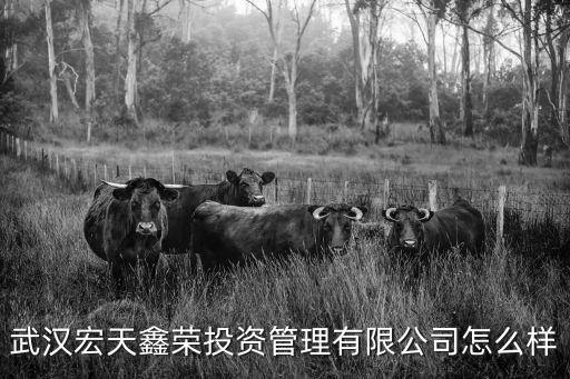 武漢宏天鑫榮投資管理有限公司怎么樣