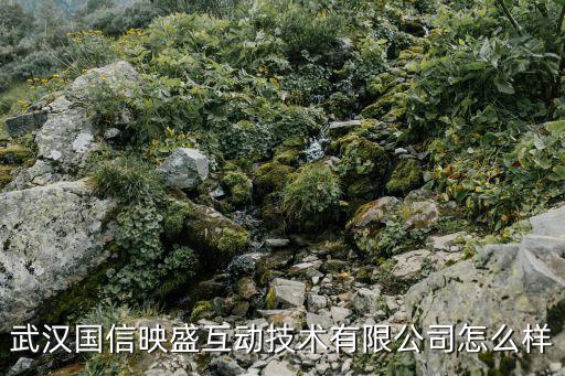 武漢網(wǎng)貸技術(shù)服務(wù)有限公司怎么樣，武漢網(wǎng)貸投訴找哪個部門