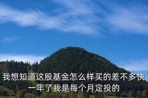 我想知道這股基金怎么樣買的差不多快一年了我是每個(gè)月定投的
