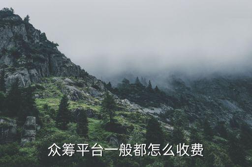 眾籌平臺一般都怎么收費