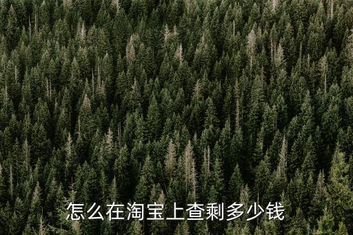 淘寶上怎么看余額，淘寶網(wǎng)里的余額怎樣查