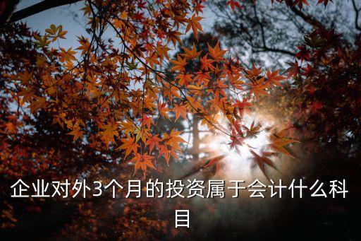 企業(yè)對(duì)外3個(gè)月的投資屬于會(huì)計(jì)什么科目