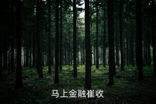 怎么應(yīng)對(duì)外包催收，馬上金融崔收