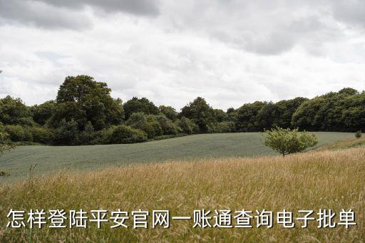 怎樣登陸平安官網(wǎng)一賬通查詢(xún)電子批單