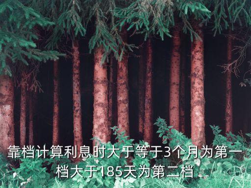 靠檔計(jì)算利息時(shí)大于等于3個(gè)月為第一檔大于185天為第二檔
