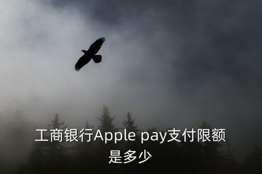 工商銀行Apple pay支付限額是多少