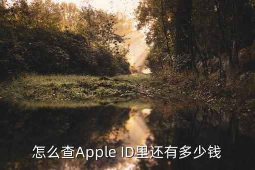 怎么查Apple ID里還有多少錢