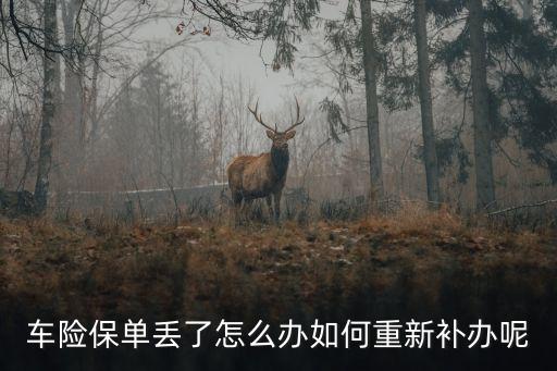 車險保單丟了怎么辦如何重新補辦呢