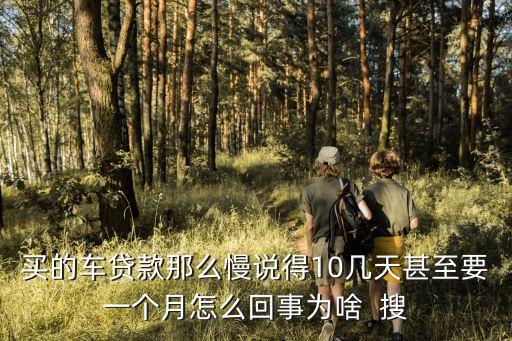 大眾版還款怎么那么慢，關(guān)于民生銀行網(wǎng)上銀行大眾版問題