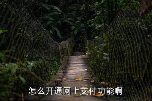 怎么開(kāi)通網(wǎng)上支付功能啊