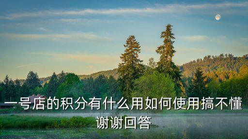 一號(hào)店的積分有什么用如何使用搞不懂謝謝回答