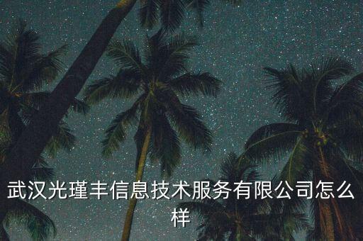 武漢光瑾豐信息技術服務有限公司怎么樣